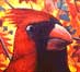 Redbird Painting - Paintings